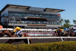 Darwin Cup 3